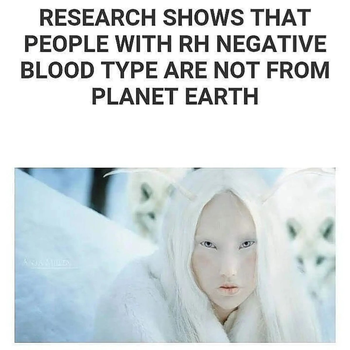 🫶 What is YOUR bloodtype?!? ANY Negative bloodtype is an Rh Negative HYBRID Bloodtype! And You should probably find out what species of human you are! You might be a hybrid human according to science and not even know it! ✨️👊👽👑👁❤🌎🌌 #RhNegativeClub #rhneg #RhNegative