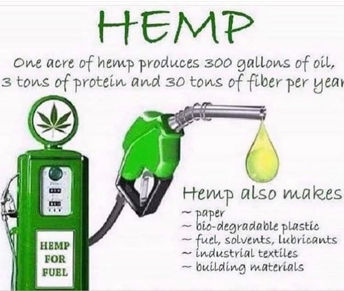 rogueherbalism's tweet photo. Problem: insane oil/gas inflation
Solution: hemp oil
Any questions?
#hempsolutions #nobrainer #logic #sustainability #trendsetter #hemp https://t.co/GHrfRf0vmI