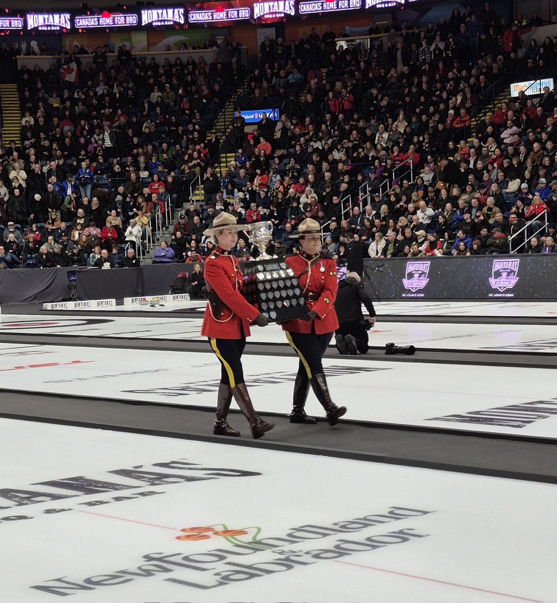 HowieF🫐🇨🇦 tweet media