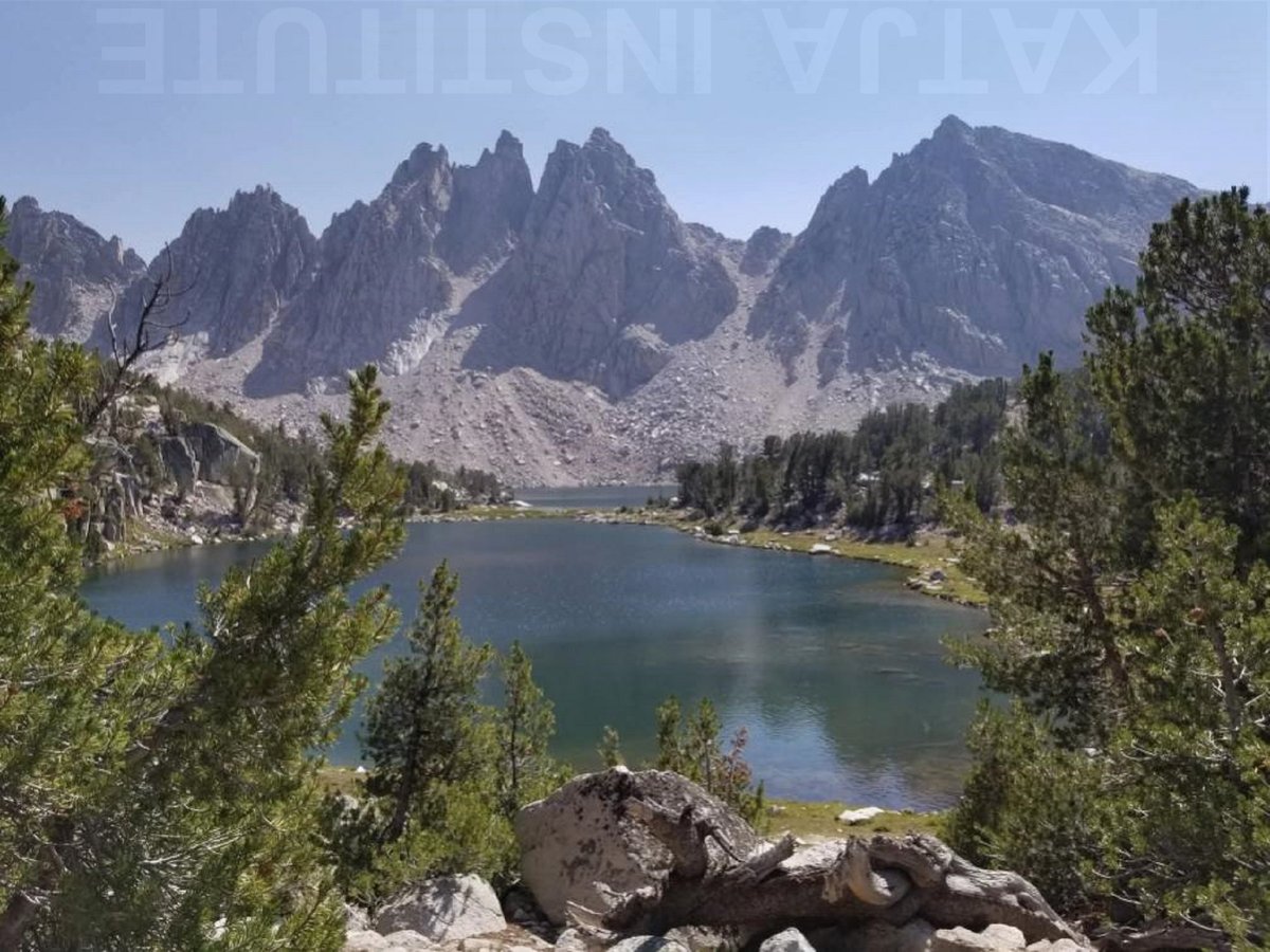 katjainstitute.bandcamp.com/album/owr
thealexjonesstore.com/products/alex-…