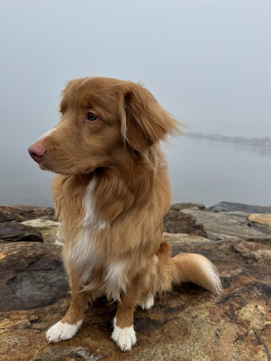 Augie (Shadow 🌈) tweet media