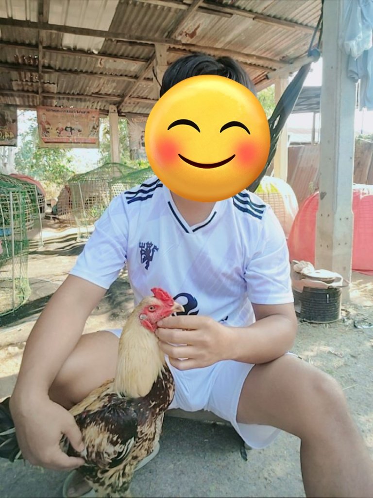 พิจิตรชายเดี่ยว(ทวีตเก่าปลิว) tweet media