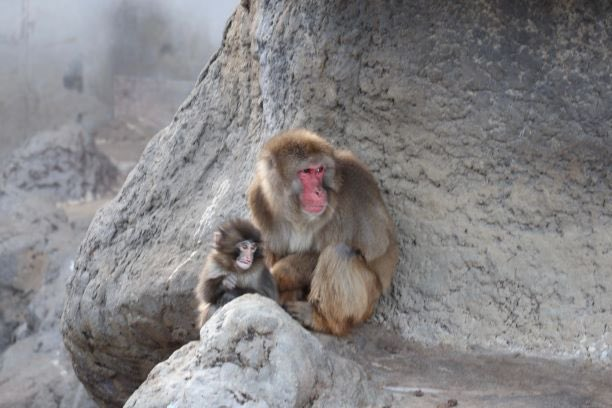 I'm Okay ⌘ tweet media