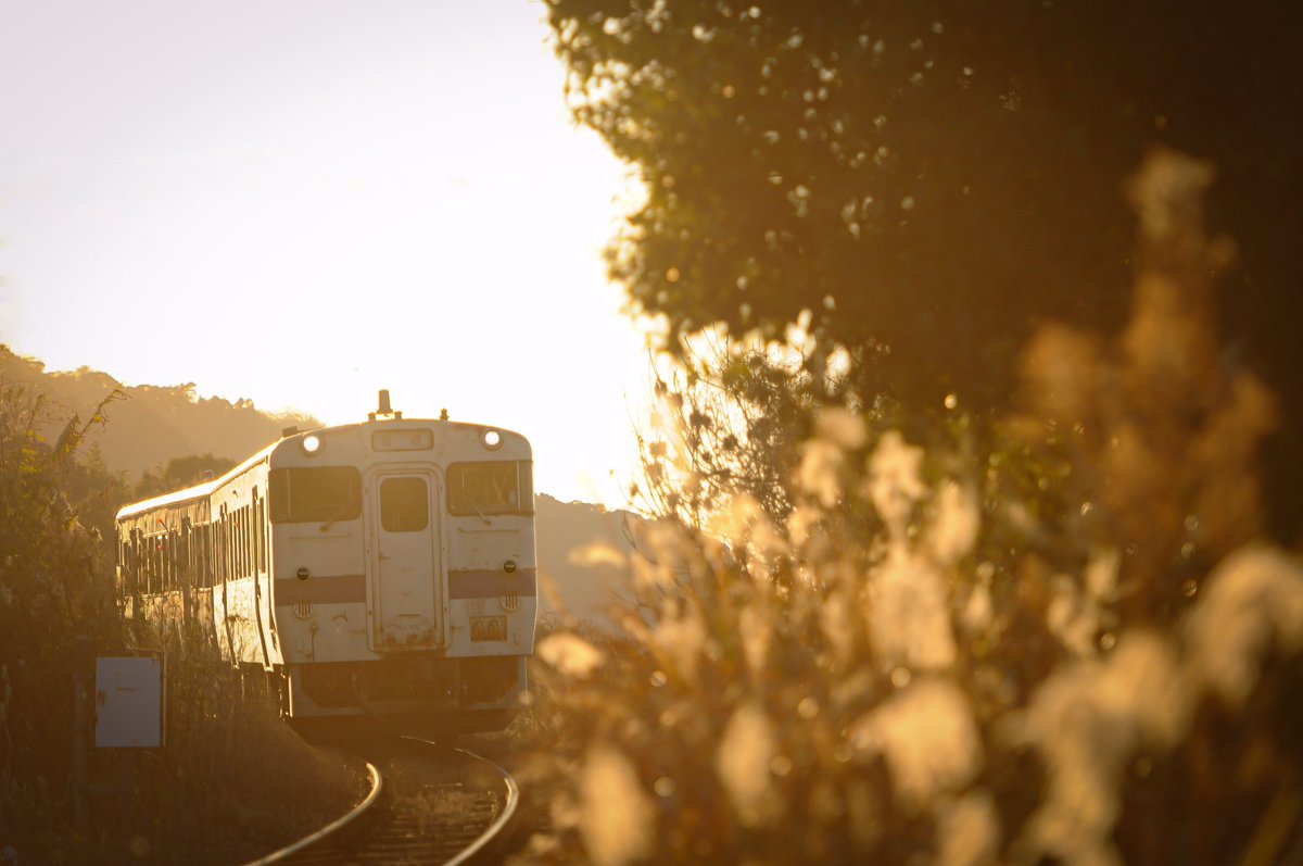 ジョバー tweet media