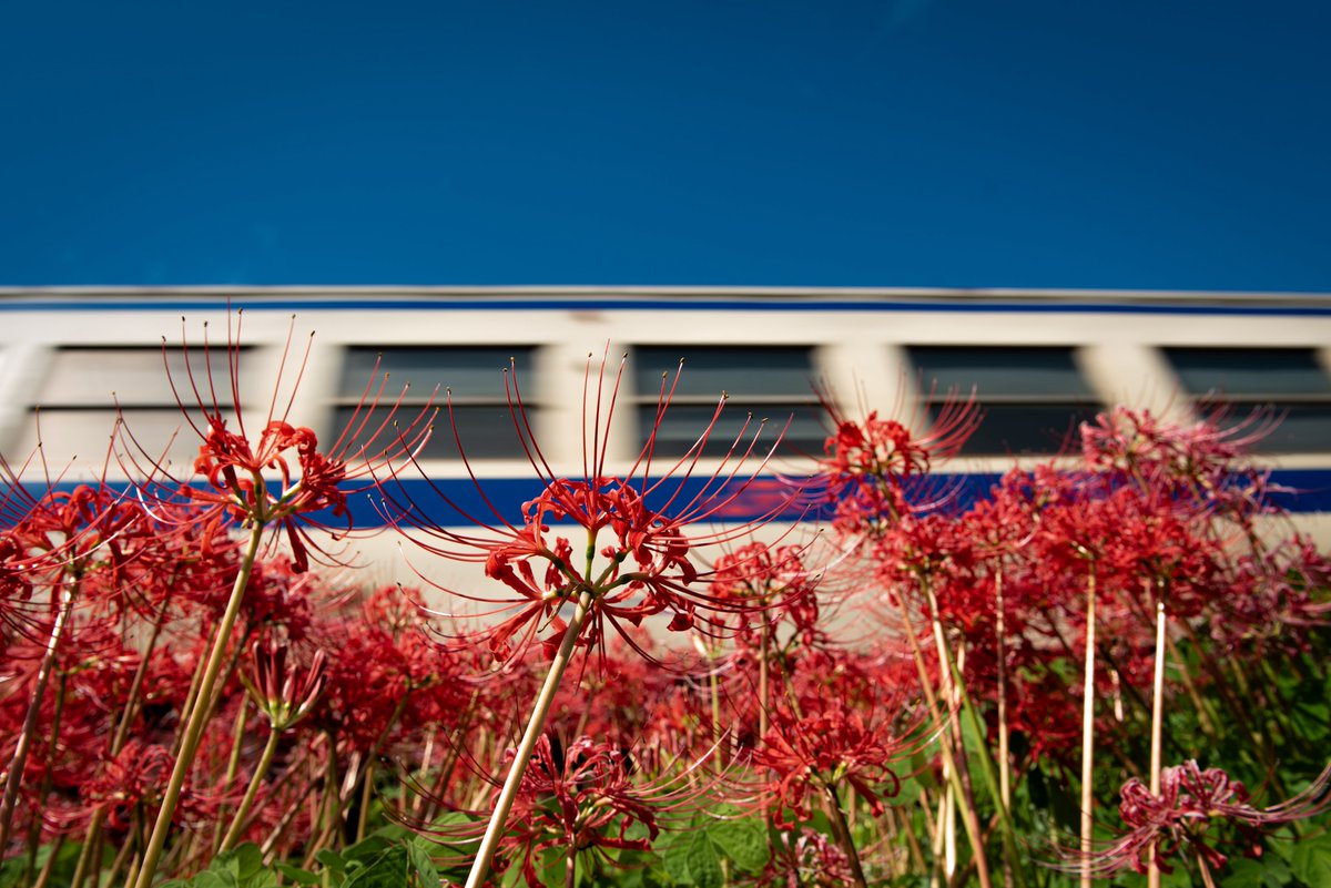 ジョバー tweet media