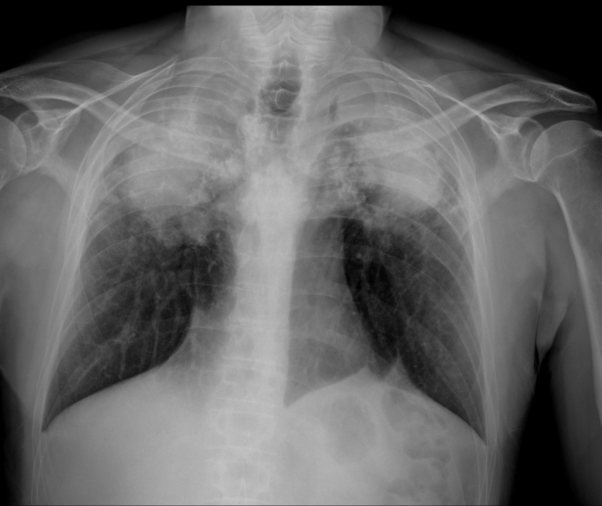 Maddi Wulfeck, MD tweet media