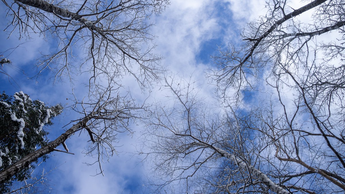 I am sentenced to live.