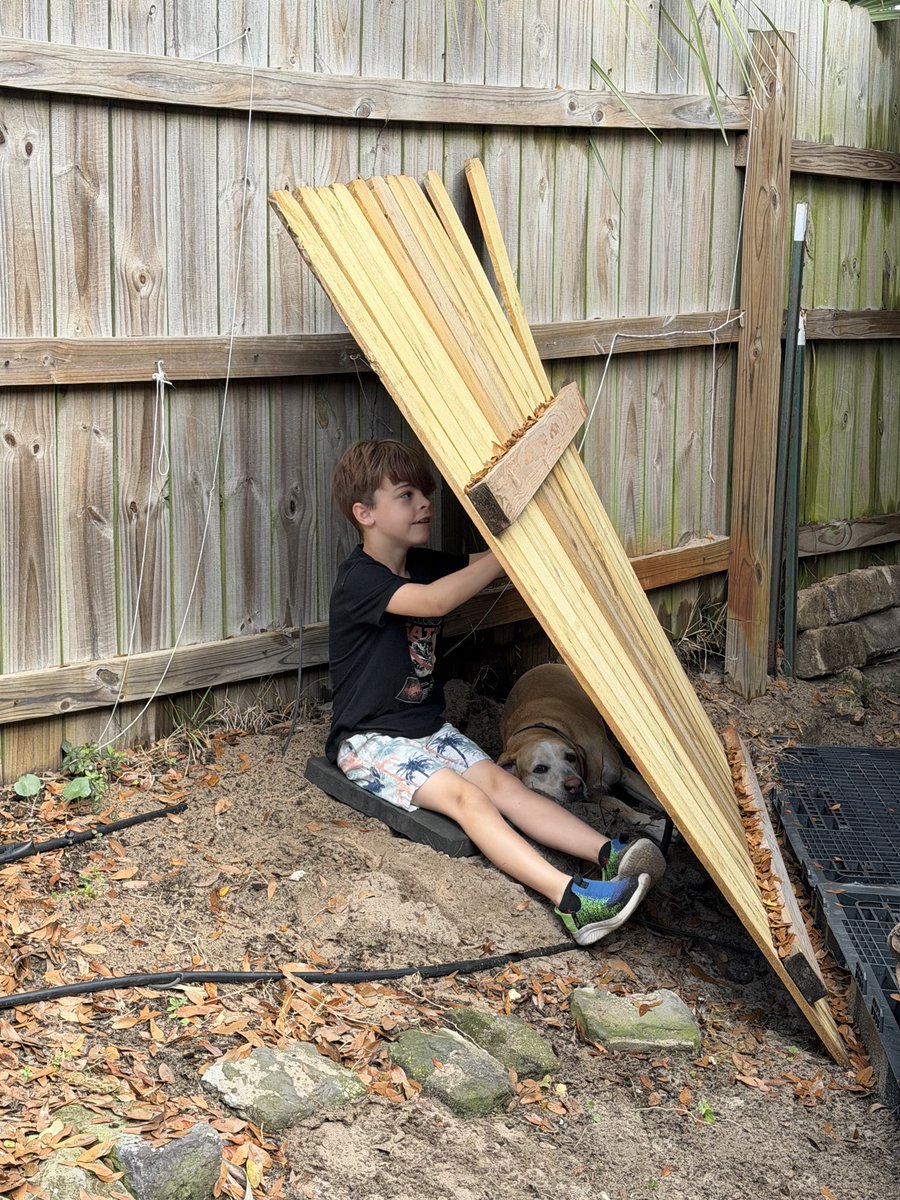 Penelope “Brownie” and Mr Sprinkles Turd tweet media