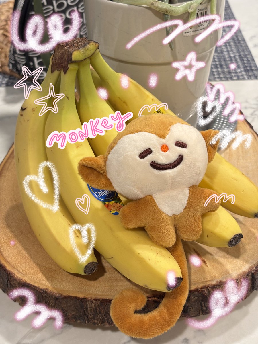 camiilicy's tweet photo. Banana monkey https://t.co/p5DNqmCssE