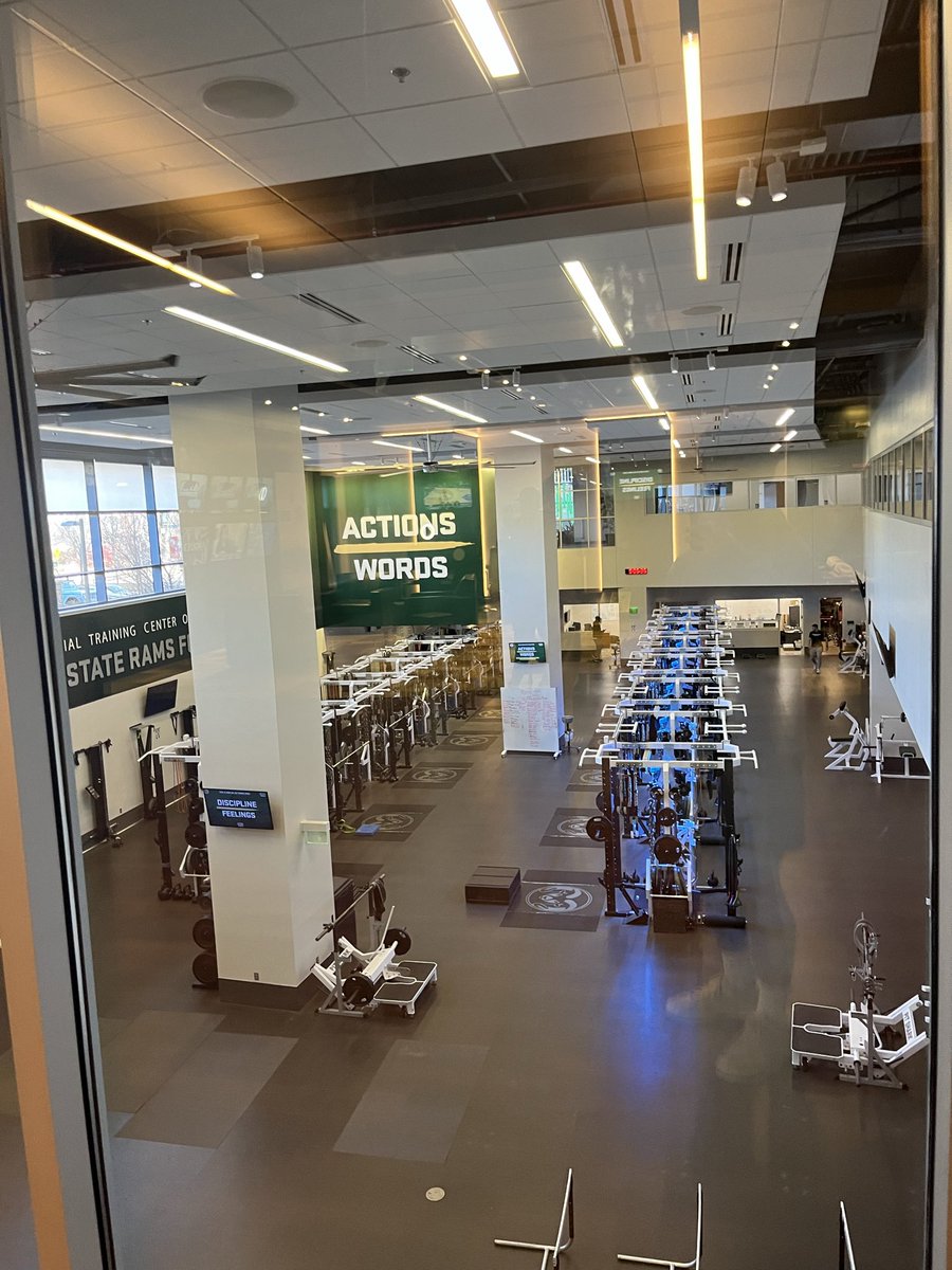 Gavin Zanotelli tweet media