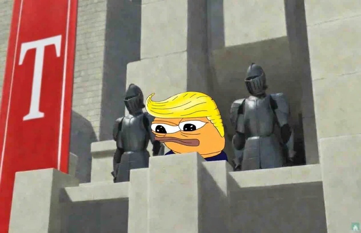 KungFuApu🥋🐸 tweet media