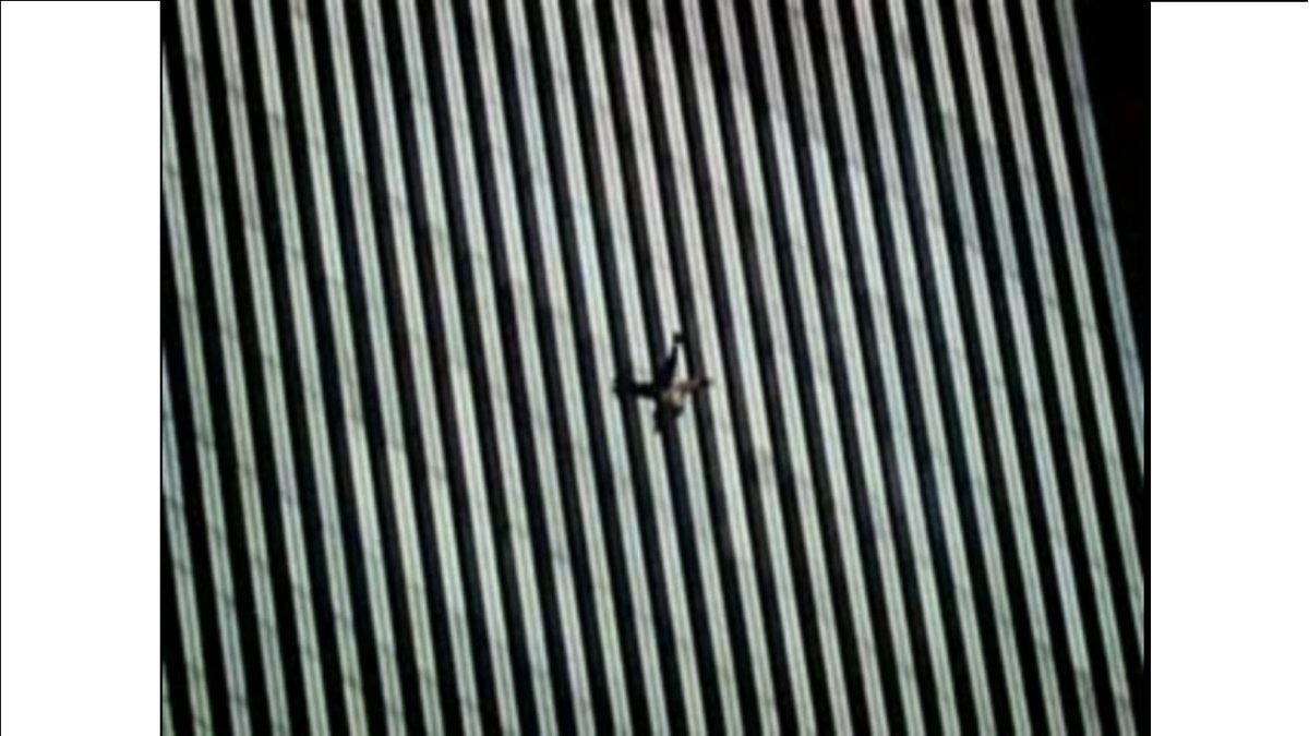 Casual Observer tweet media