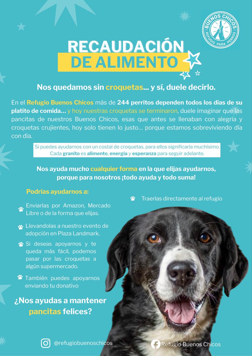 Refugio Buenos Chicos tweet media