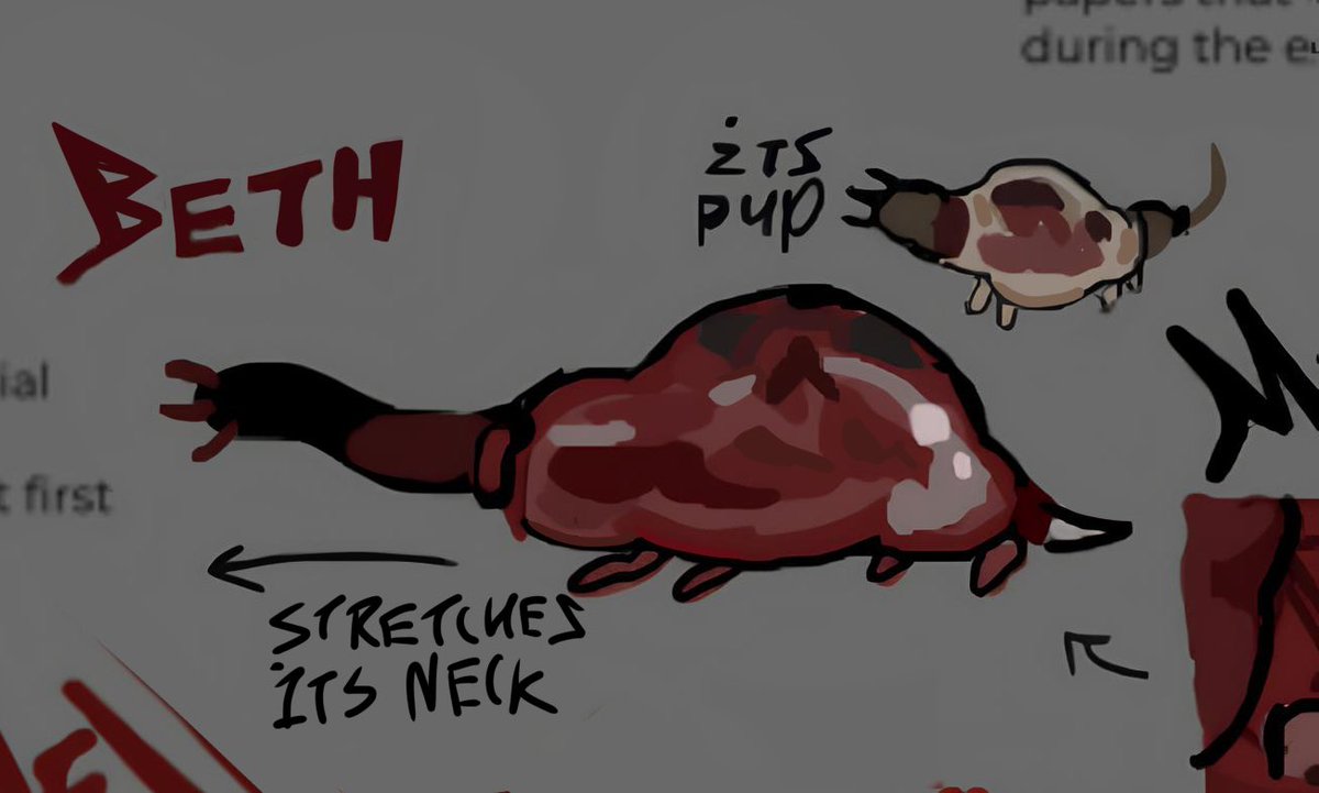 muschkin tweet media