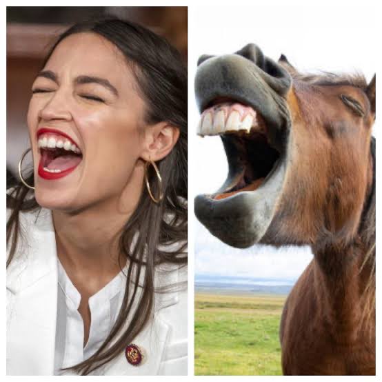 InfiniteBoogers tweet media