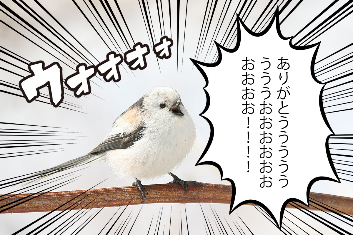 ３月９日（げつようび）
きょうは３（サン）９（キュー）で
ありがとうの日（・▴・）