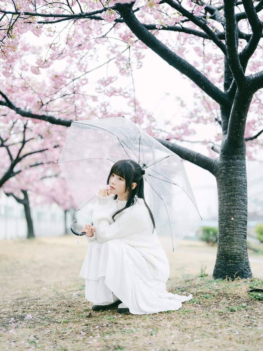 ruiame_'s tweet photo. 雨桜 https://t.co/Zhqj1Vqccp