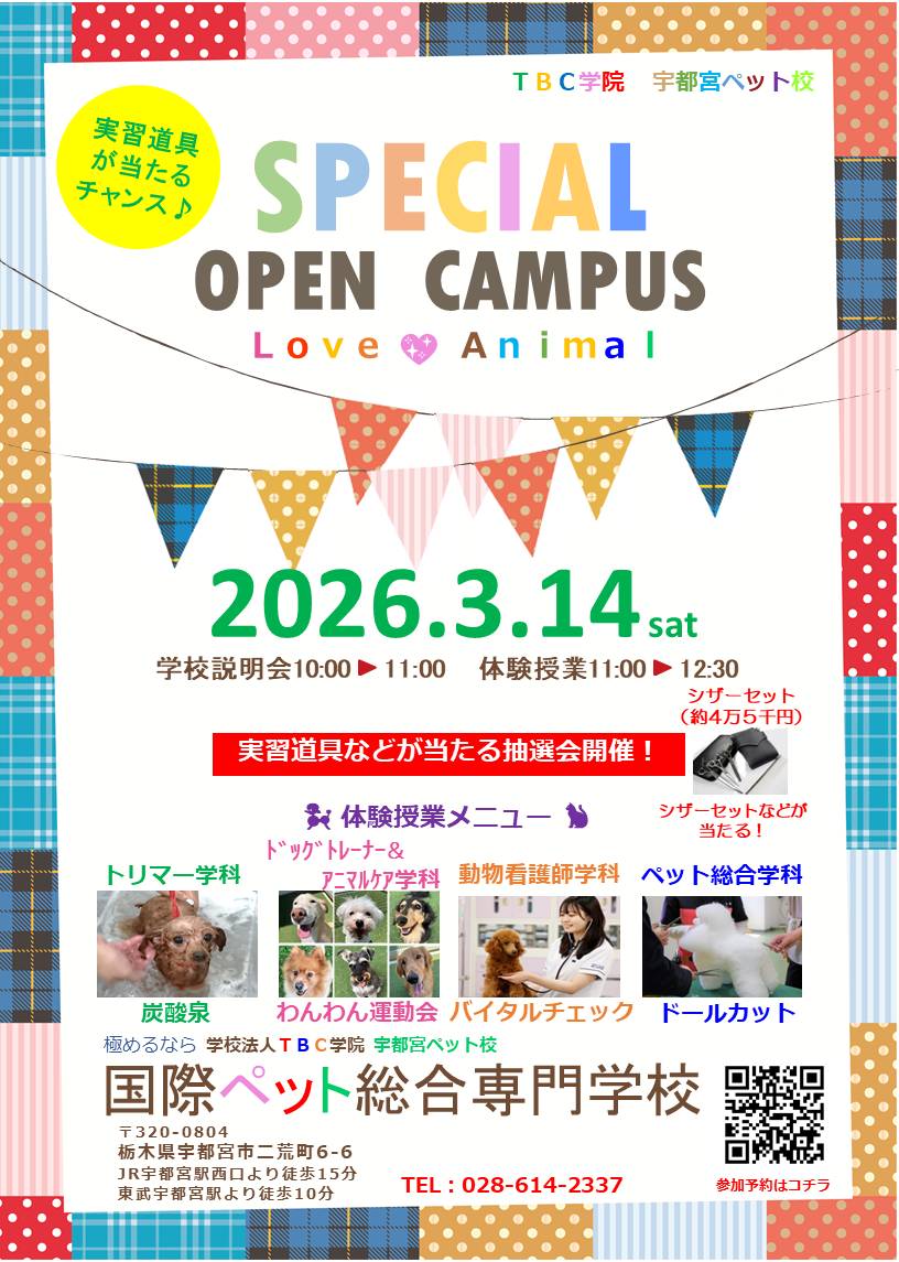tbcpet's tweet photo. ３月１４日（土）のオープンキャンパスは、スペシャルオープンキャンパスとなっています✨ぜひ遊びに来てくださいね🐶 #tbcpet #tbc #国際ペット総合専門学校 #栃木県 #宇都宮市 #ペット #動物 #専門学校 #TBC学院 #オープンキャンパス https://t.co/JmHaTNIqZy