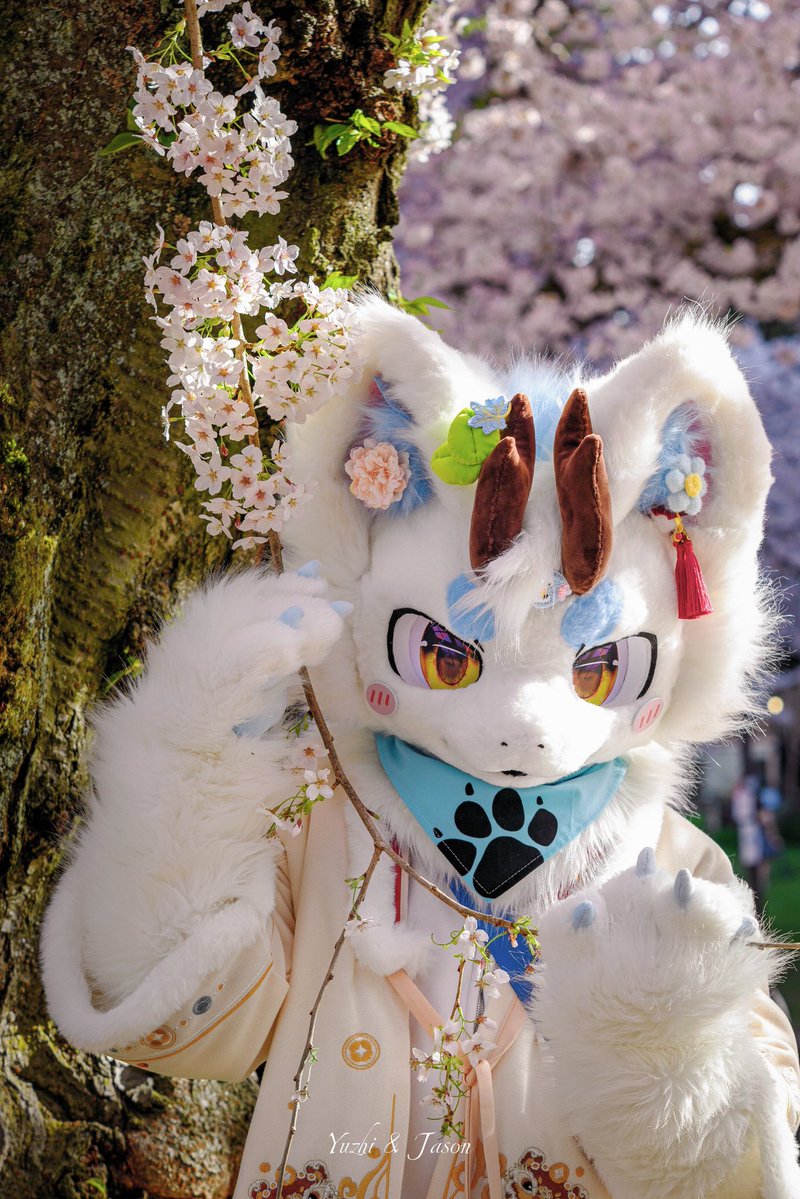 Yuzhi与纸 tweet media