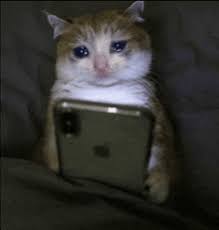 Binance Intern tweet media