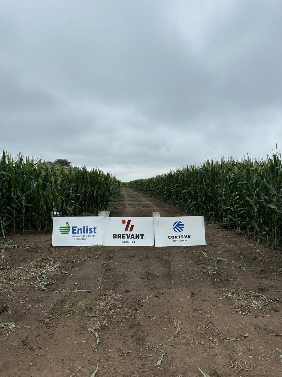 Santi Abba tweet media