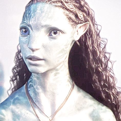 𝐊𝚊𝓽 💭 tweet media