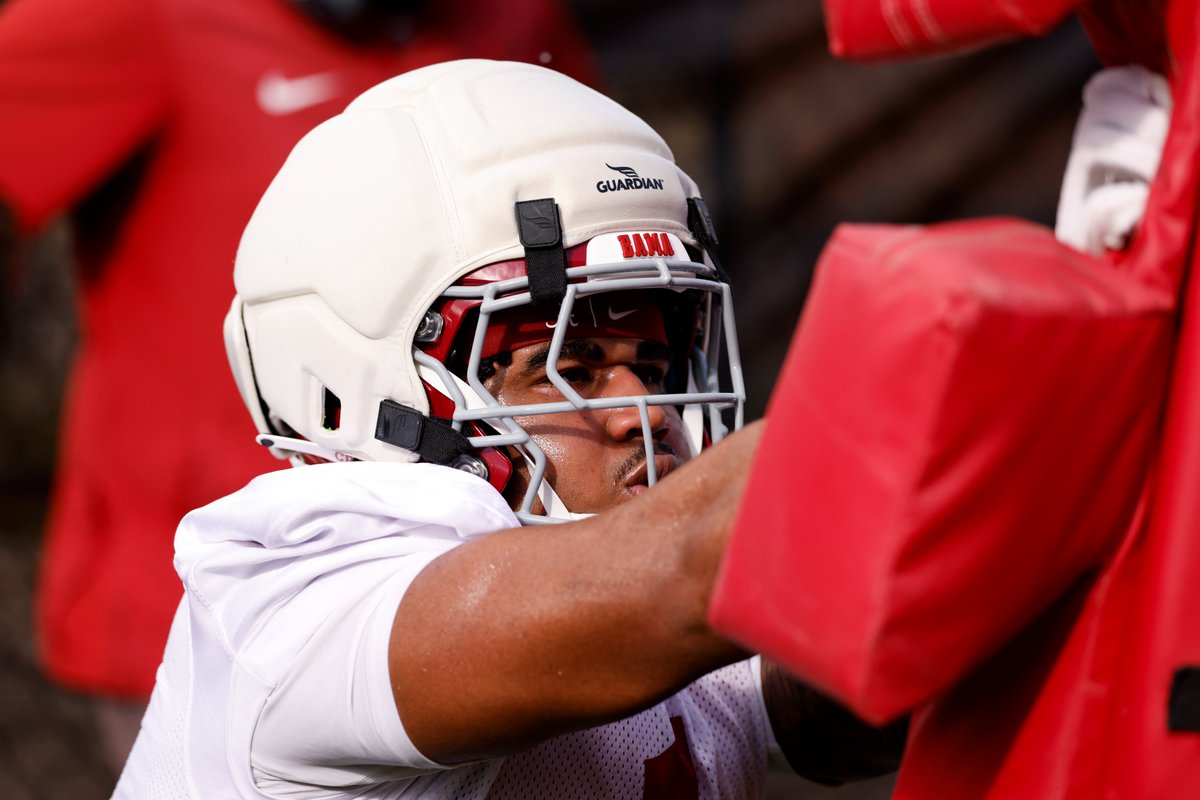 Charlie Potter tweet media