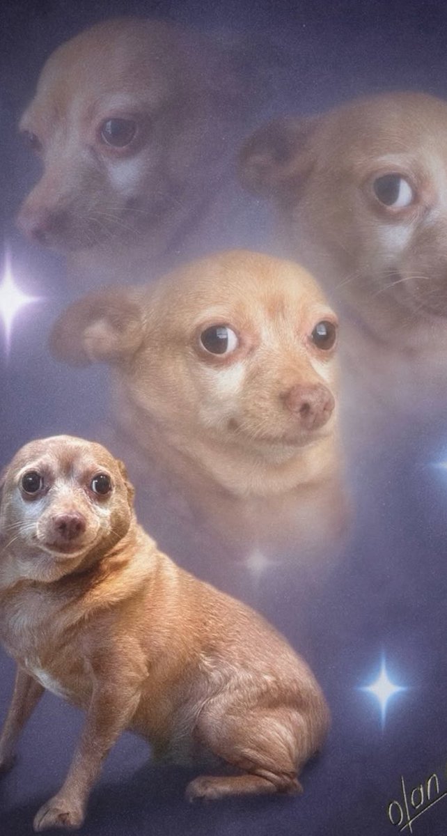 Statiik 🦦 tweet media