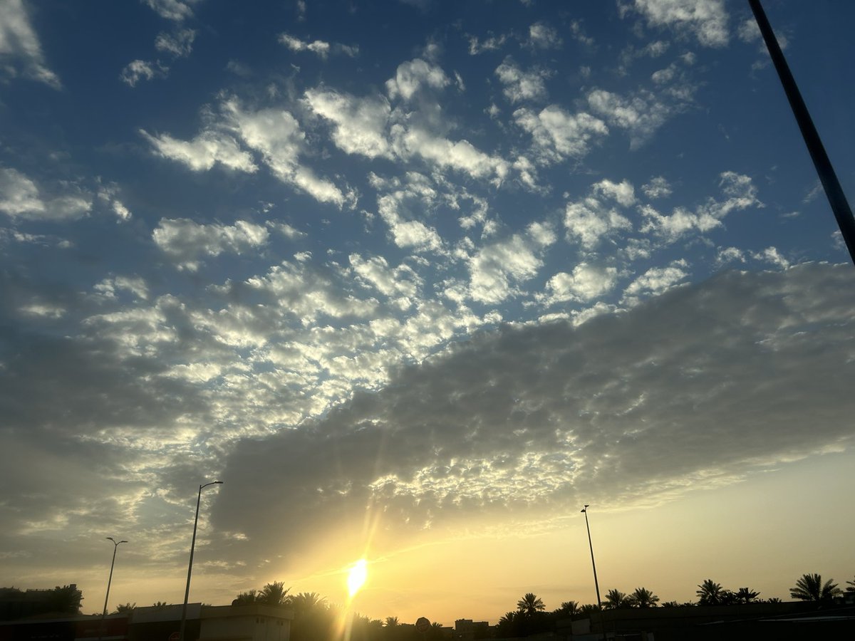 أ.عارف العبدالقادر tweet media