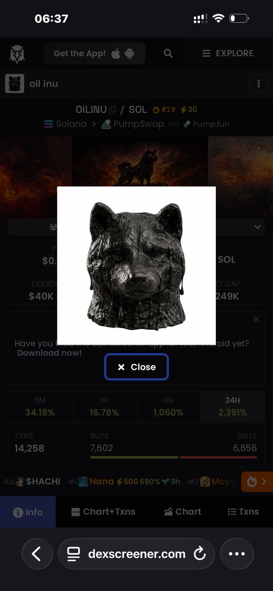 Crypto Dude 💎 tweet media