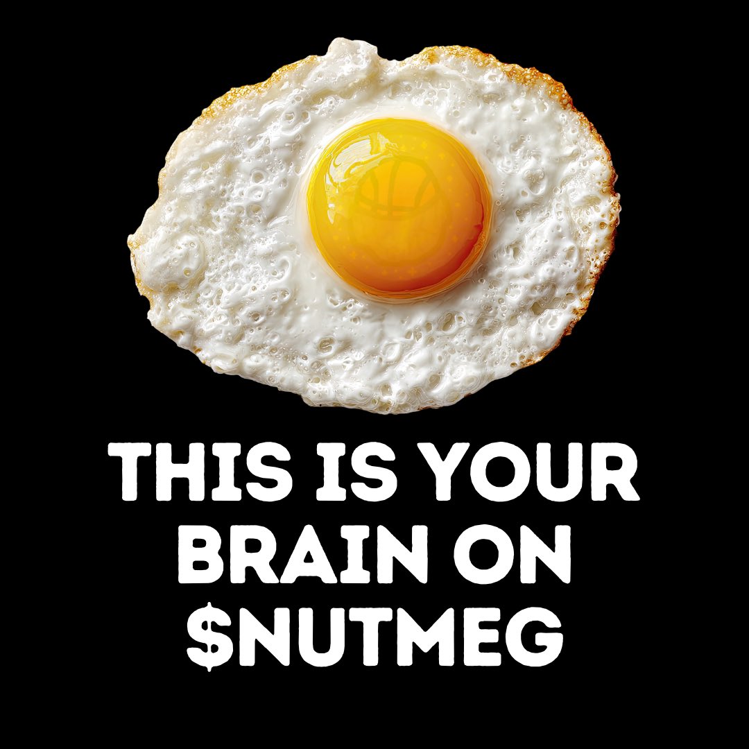 daytona 😵‍💫🎰🪩 tweet media