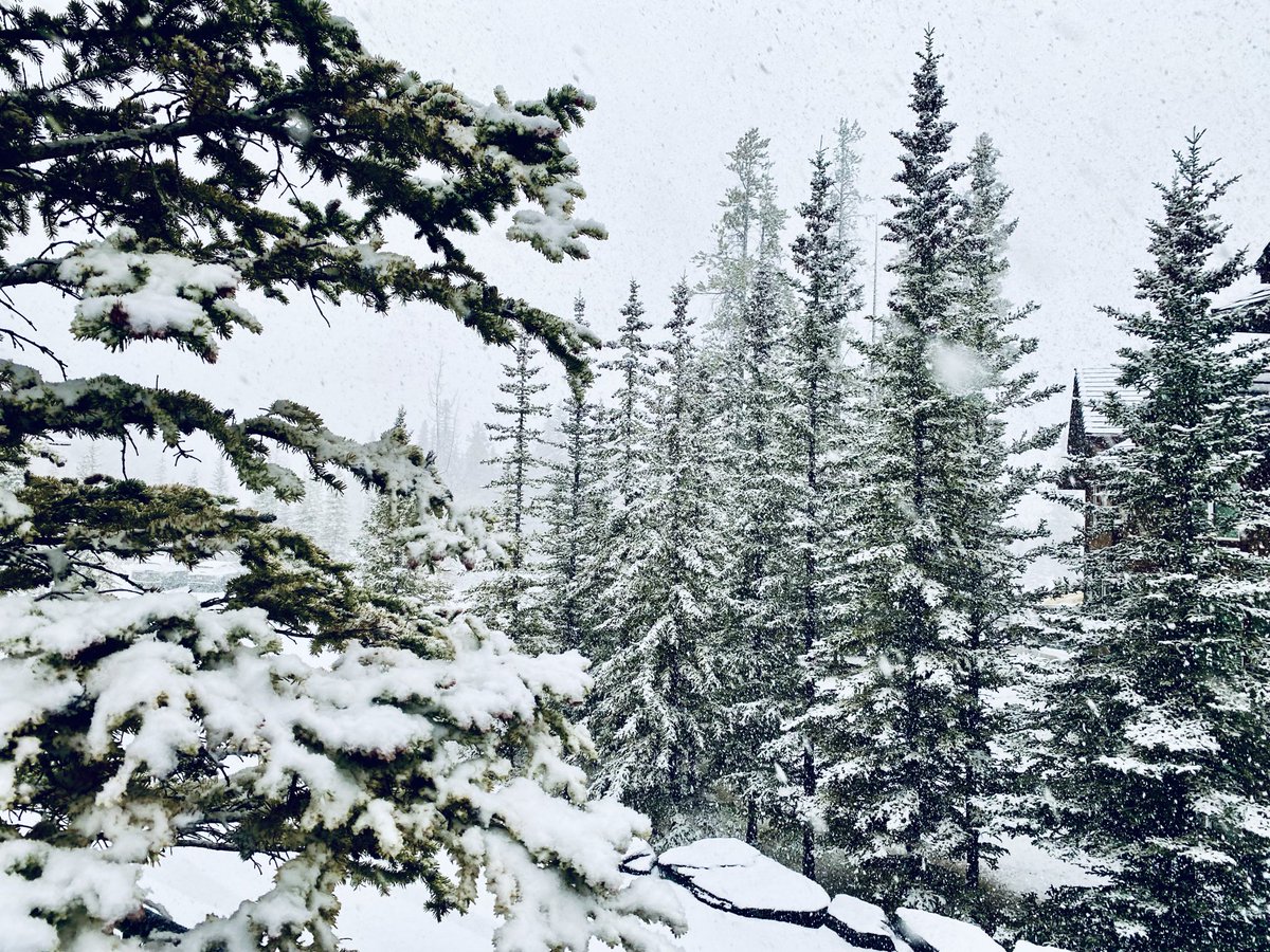 VisibleThink's tweet photo. And the weather changed….. Over the hills and far away 
#Bowvalley #canmore 
We will return for sure https://t.co/nN4wyA3XQz