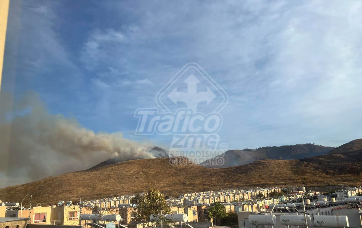 #Precaución 🔥❗️ Incendio ocurre al momento en el cerro cercano a la colonia Abedules en Tlajomulco de Zúñiga, también conocido como Cerro Viejo.
Favor de atender el reporte <a href="/PCJalisco/">Protección Civil JAL</a> <a href="/GobTlajomulco/">Gobierno Tlajomulco</a>
#TráficoZMGPeriodismoCiudadano