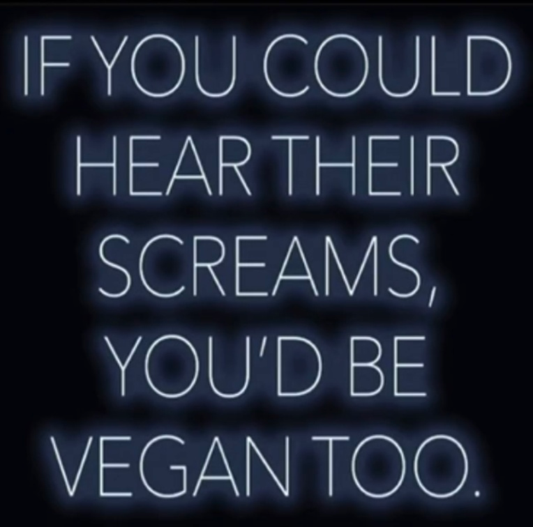 Vegan Future tweet media