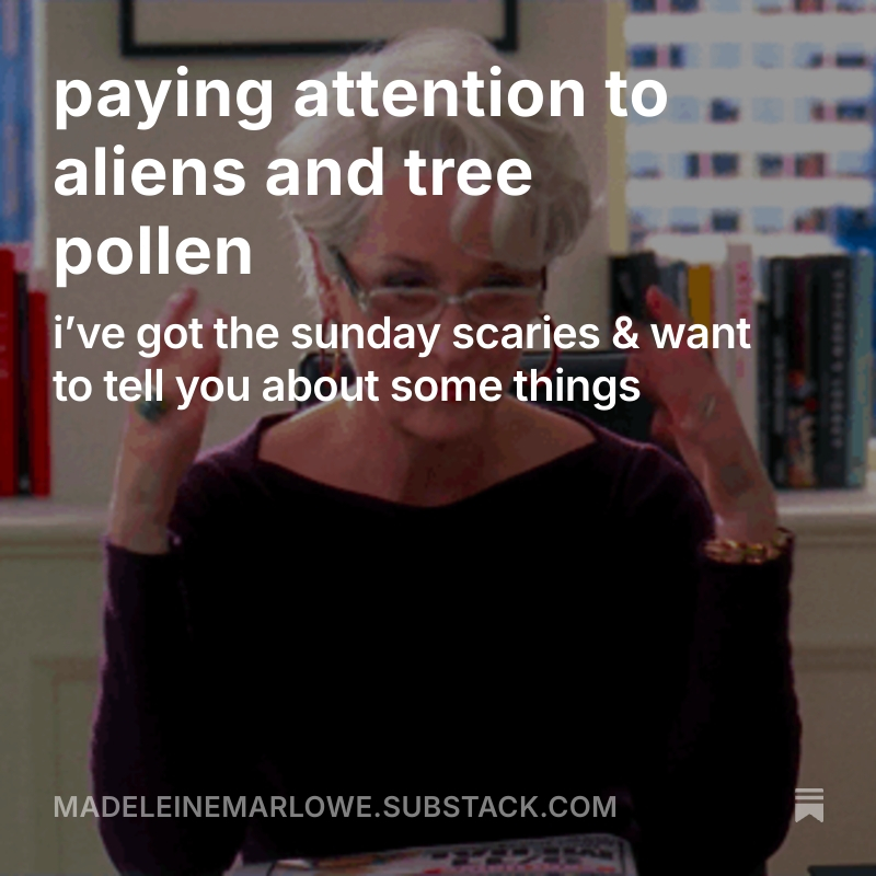 querying has me looking to the skies for hope  - more on the querying journey + the artists way + disconnecting from screens: open.substack.com/pub/madeleinem…