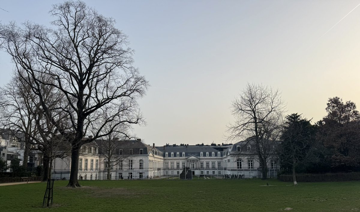 Belen Calvo Uyarra tweet media