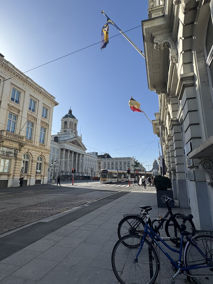 Belen Calvo Uyarra tweet media