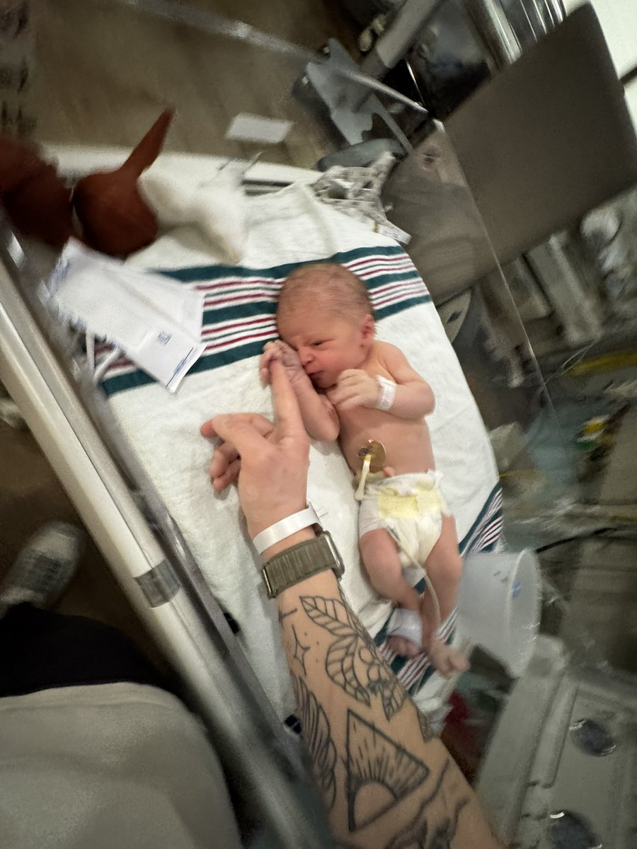 shannon bryan tweet media