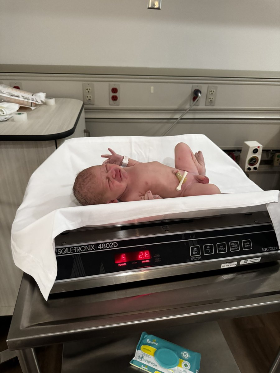 shannon bryan tweet media