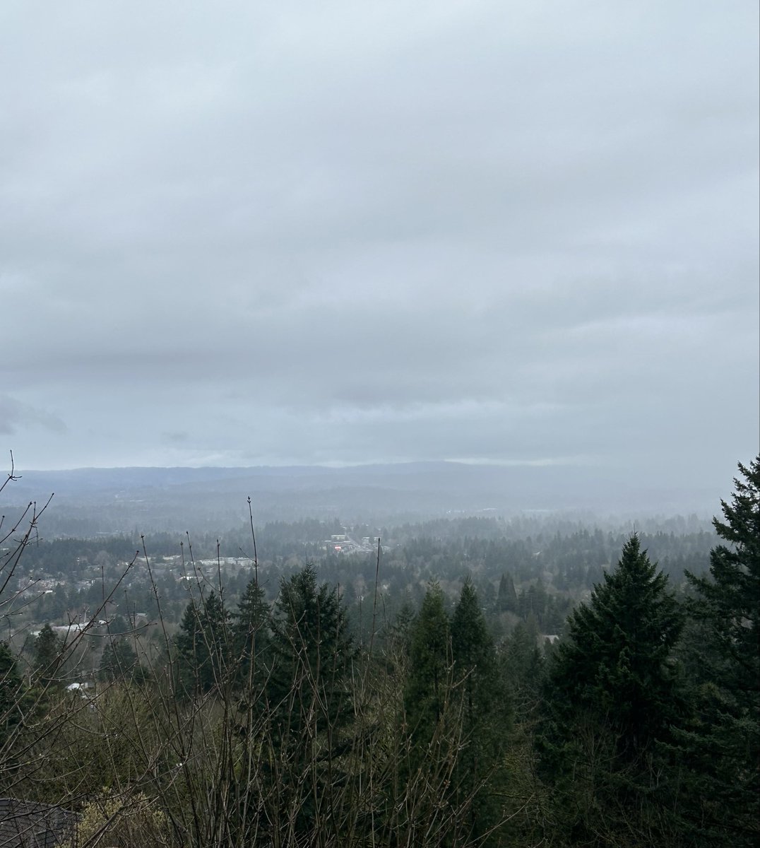 pdx8in's tweet photo. Another gray day on n PDX, hot coffee, movie, and blanket https://t.co/92M7rHcnBY