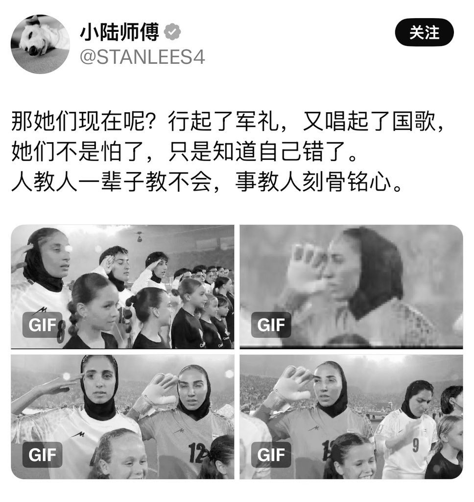 Finding心归何处🇨🇦🇺🇸 tweet media