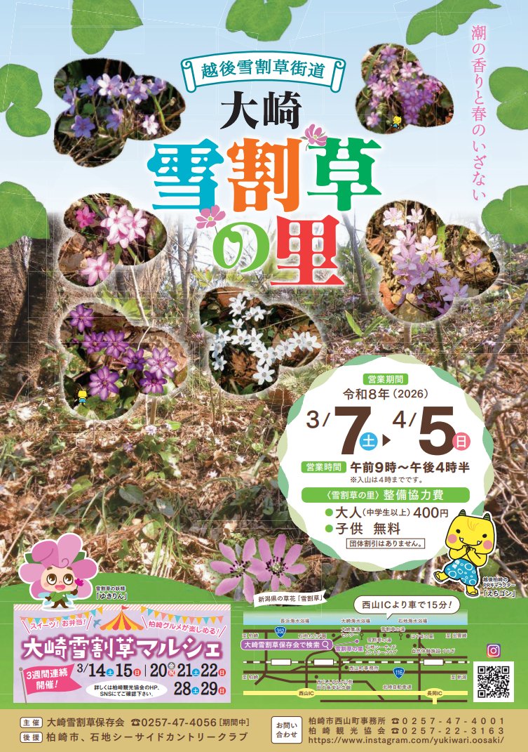 えちゴン tweet media