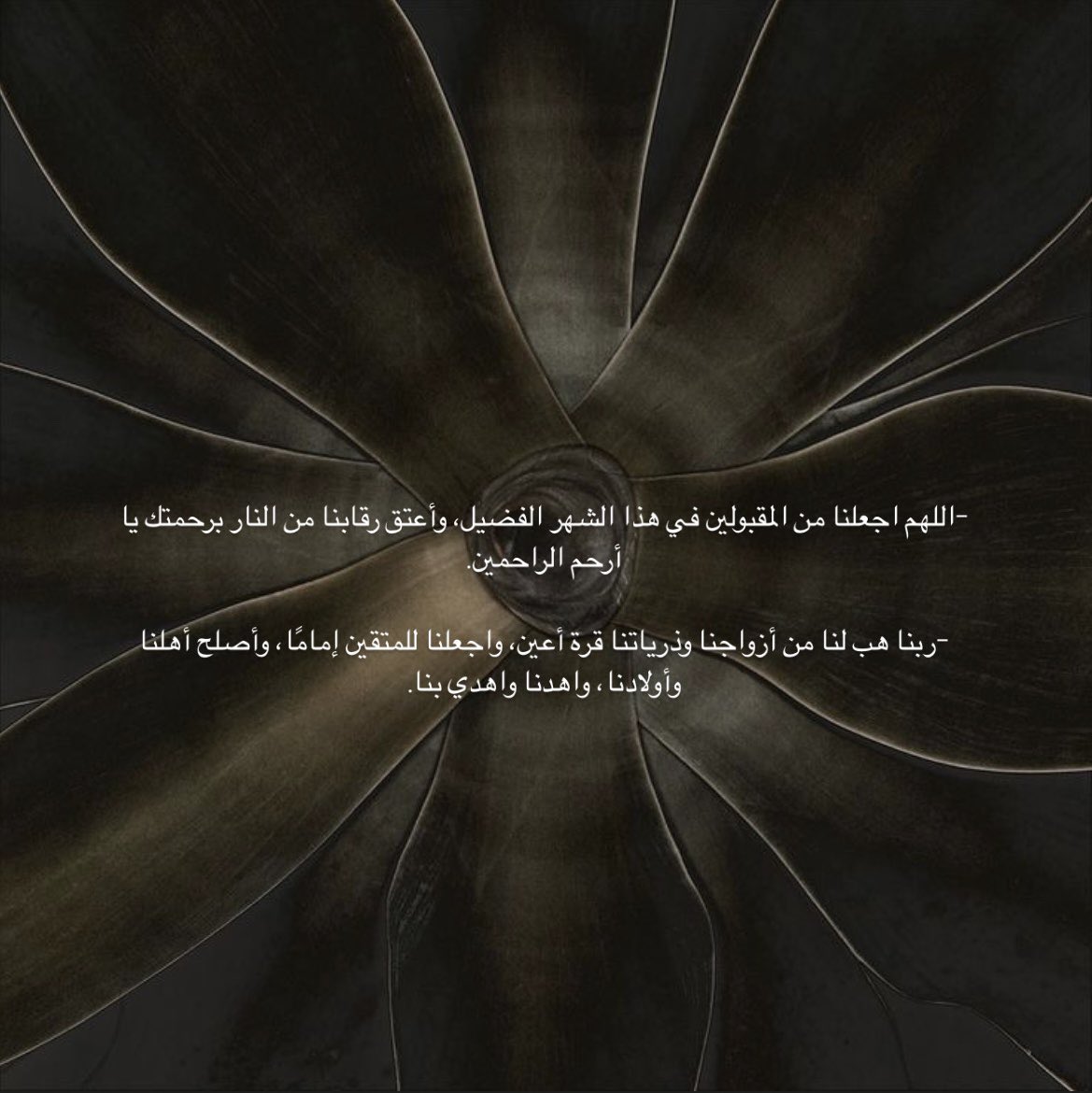 رِهام السلطـان tweet media