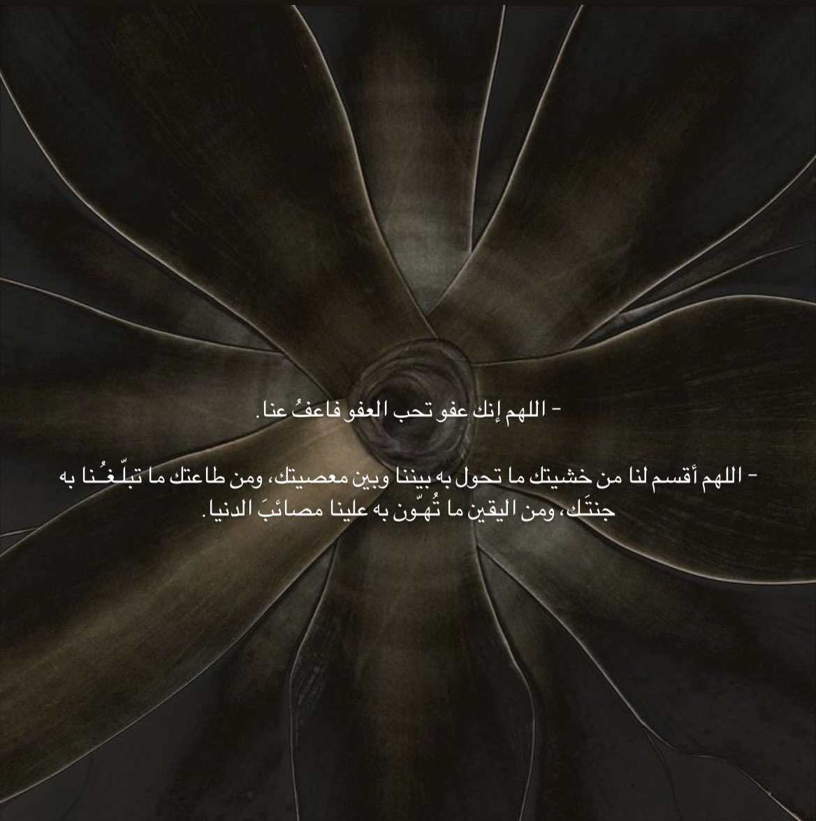 رِهام السلطـان tweet media