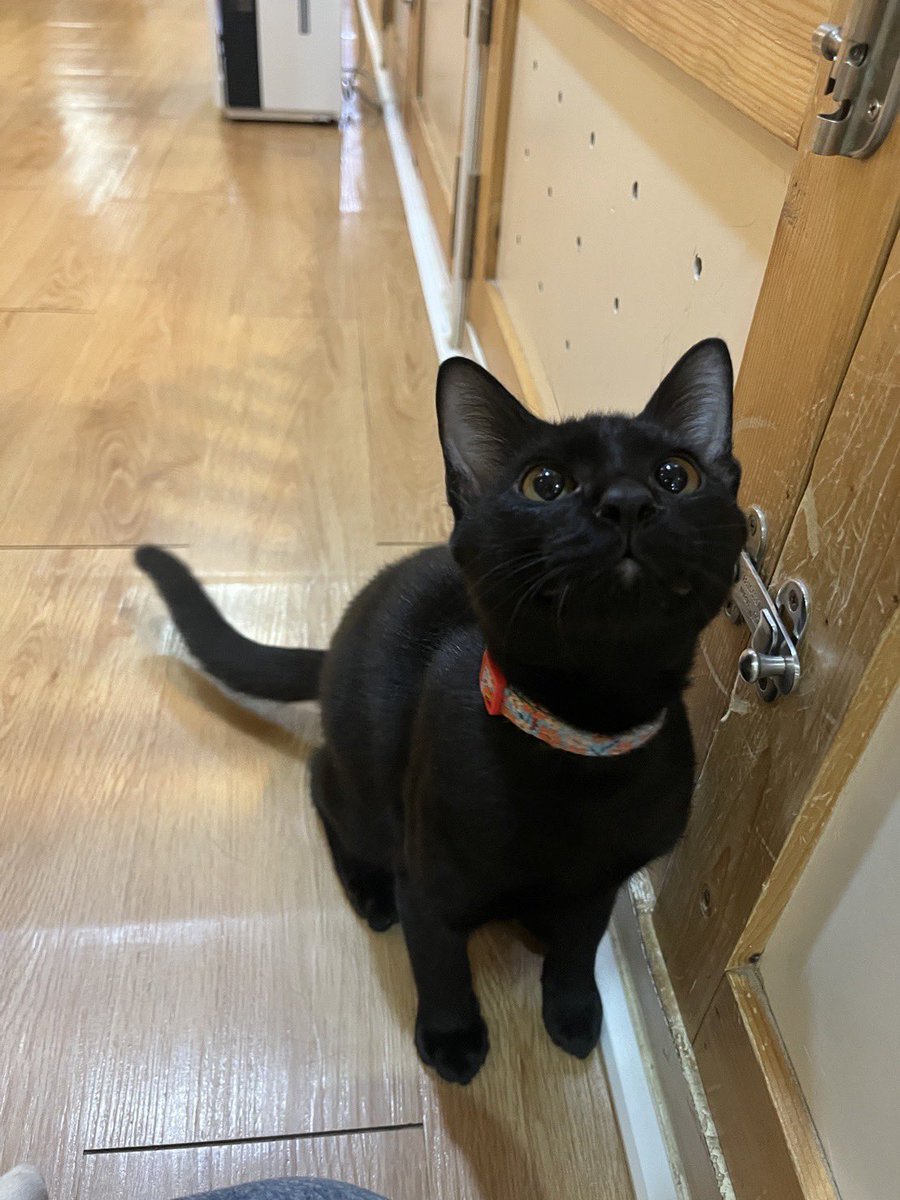 ฝากเด็กๆ ไว้กับพี่เลี้ยง เค้าถ่ายยังไงให้ลูกฉัน 3 คน ดูน่ารักได้ขนาดนี้ 55555555