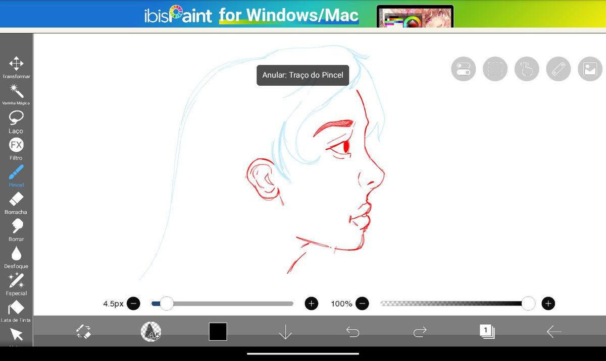 ocelis 🐝 tweet media