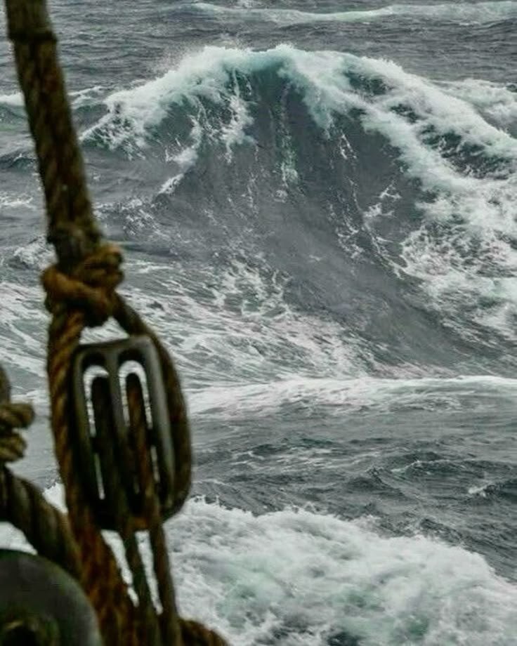 𓃦 ᵎᵎ tweet media