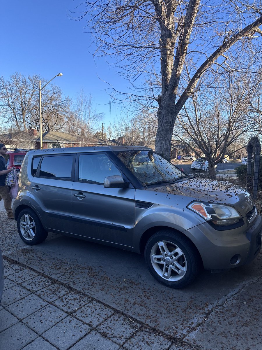 Based Brando Reborn tweet media