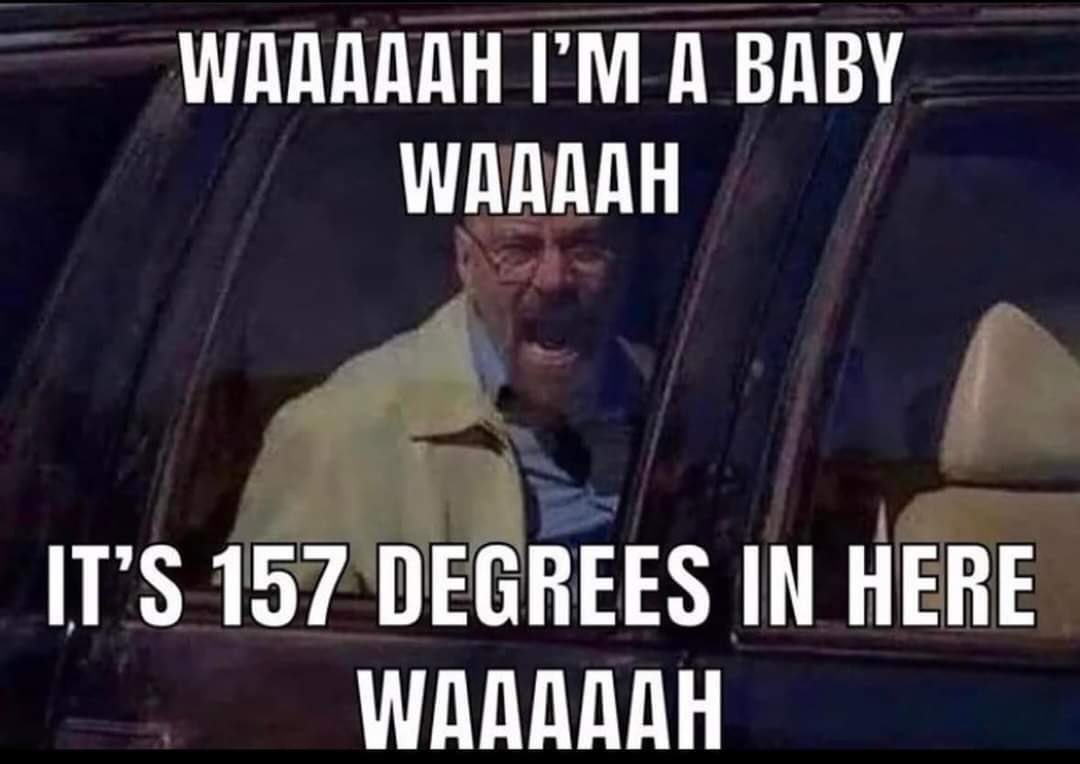 Your Typical Local Man tweet media