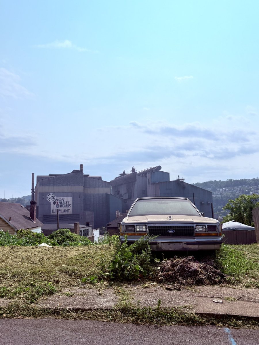 Tyler Wise tweet media